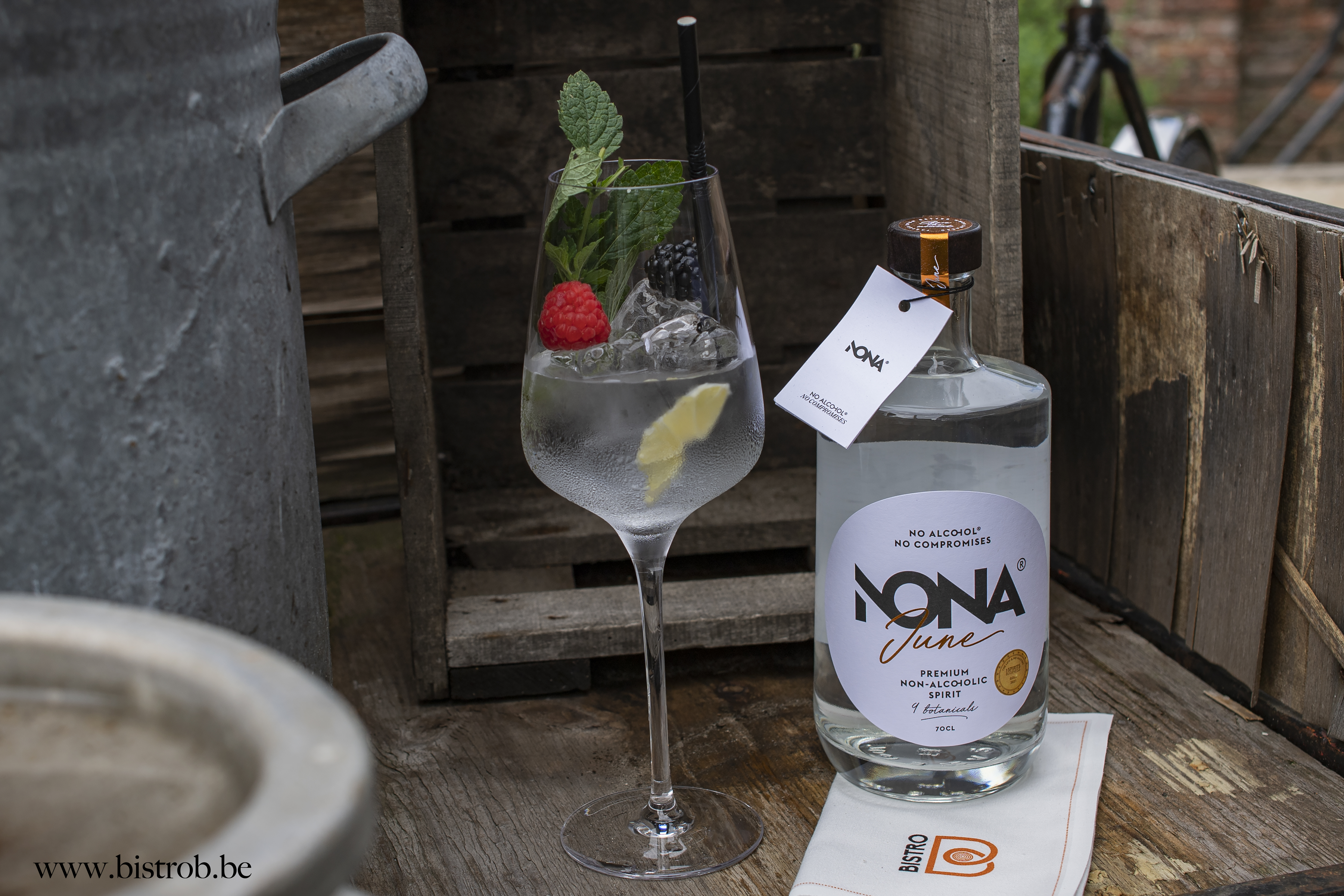 Nona Gin (0%) Giftbox + Premium Tonics